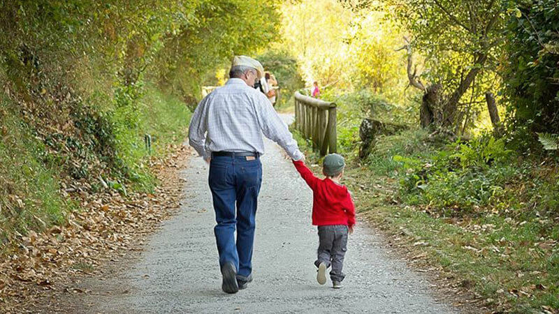 Conservator and Guardianship, and father or grandparent with child or kid